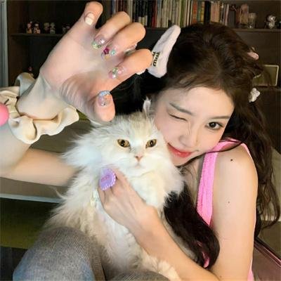 猪猪侠大电影·恐龙日记